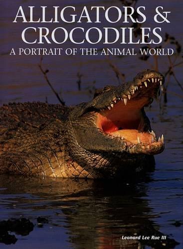 Alligators & Crocodiles