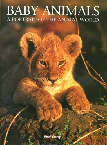 Baby Animals