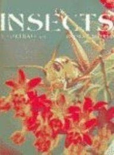 Insects