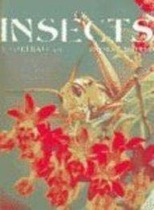 Insects 