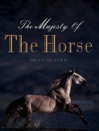 The Majesty of the Horse