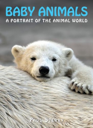 Baby Animals