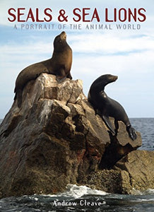 Seals & Sea Lions 
