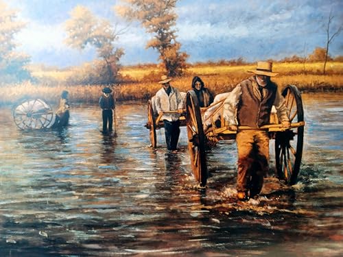 Sweetwater Rescue