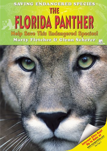 The Florida Panther