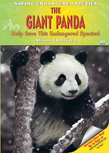 The Giant Panda