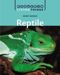 Reptiles 