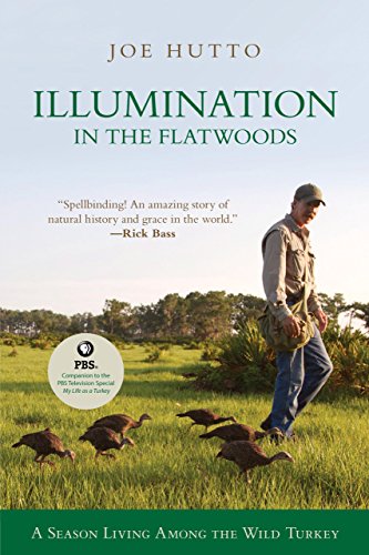 Illumination in the Flatwoods