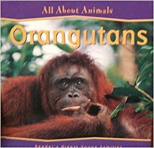 Orangutans (All About Animals)