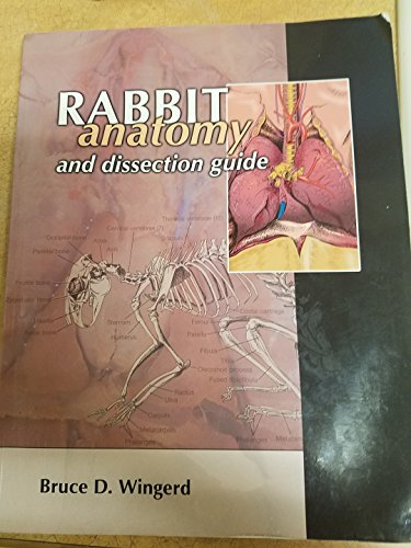 Rabbit Anatomy and Dissection Guide By Bruce Wingerd
