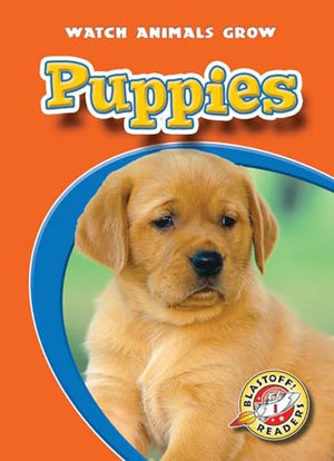Puppies