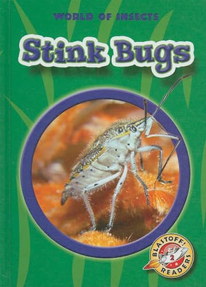 Stink Bugs
