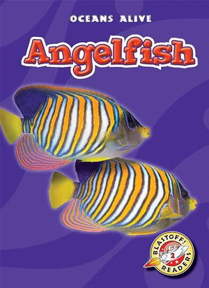 Angelfish