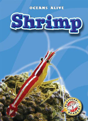 Shrimp