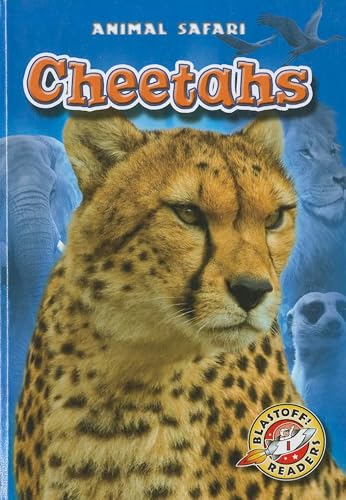 Cheetahs