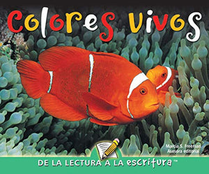 Colores Vivos
