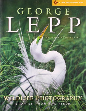 Wildlife Photography