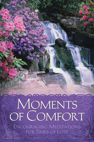 Moments of Comfort