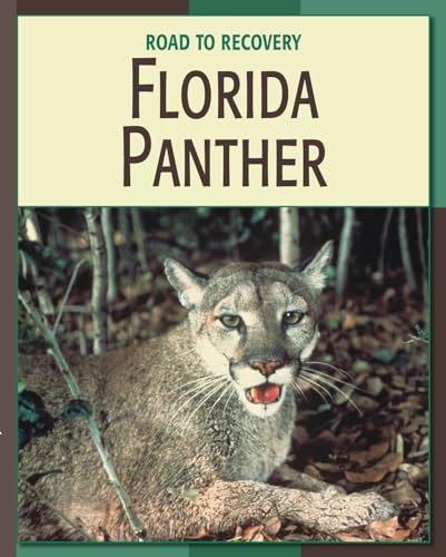 Florida Panther