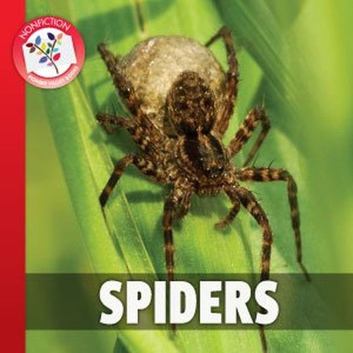 Spiders