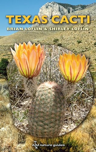 Texas Cacti Volume 42