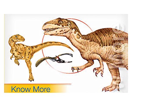 Know more -Dinosaurs