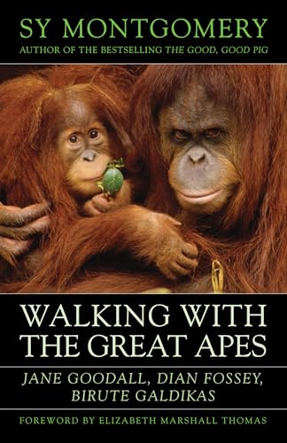 Walking with the Great Apes