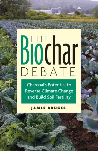The Biochar Debate