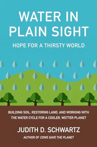 Water in Plain Sight
