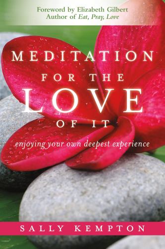 Meditation for the Love of It