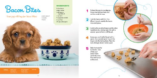 Cool Pet Treats