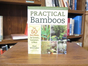 Practical Bamboos the 50 Best Plants for Screens, Containers & More