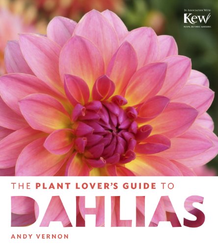Plant Lovers Guide to Dalhias