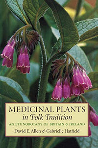 Medicinal Plants in Folk Tradition 