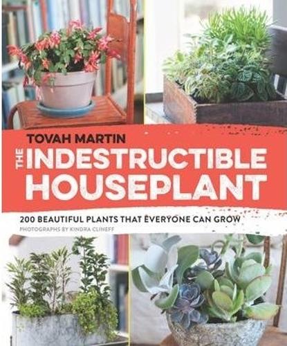 The Indestructible Houseplant