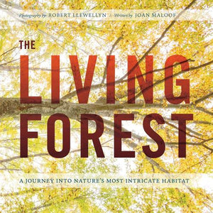 The Living Forest 