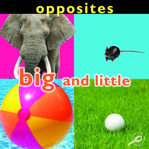 Opposites: Big and Little