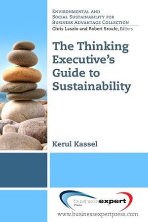 The Applying Systems Thinking to Understanding Sustainable Business