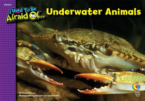 Underwater Animals, I Used To Be Afraid Of Series