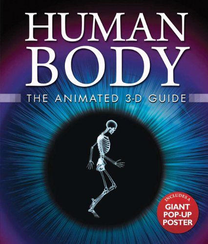 Human Body