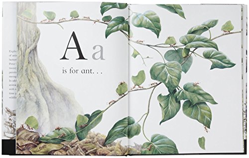 The to Z Book of Wild Animals