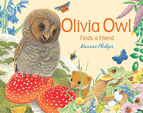 Olivia Owl Finds a Friend