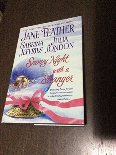 Snowy Night with a Stranger