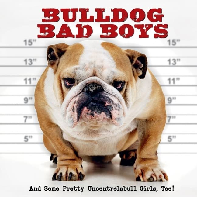 Bulldog Bad Boys