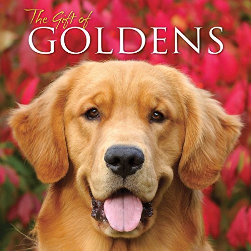 The Gift of Goldens, The