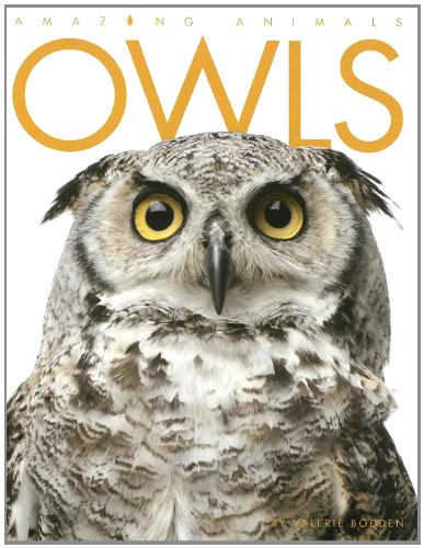 Owls