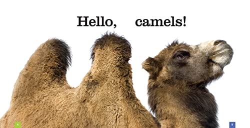 Seedlings Camels