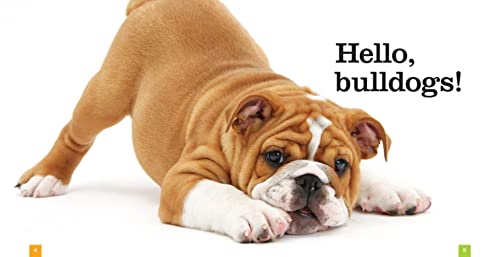 Bulldogs