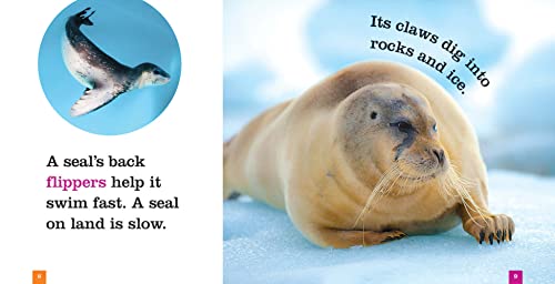 Seals