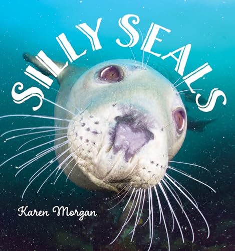 Silly Seals